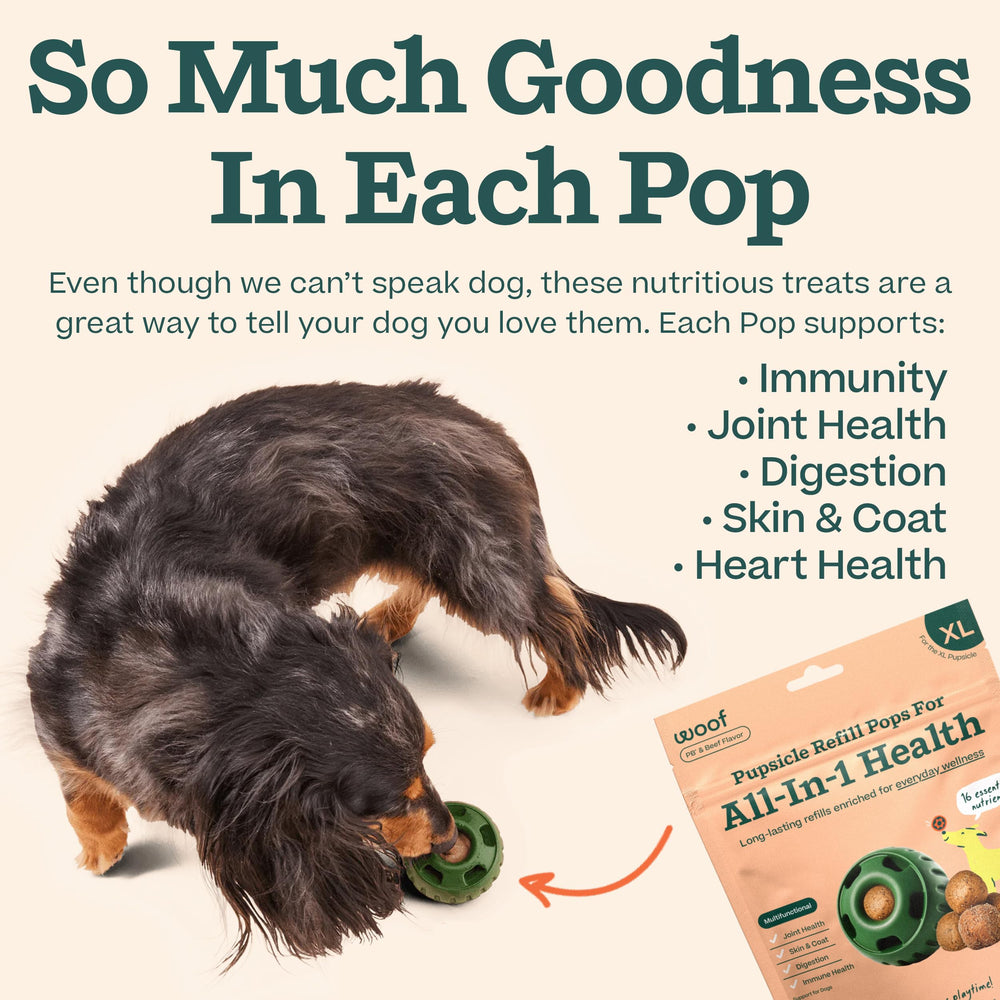 USA-made treats with trusted ingredients for safe, long-lasting fun