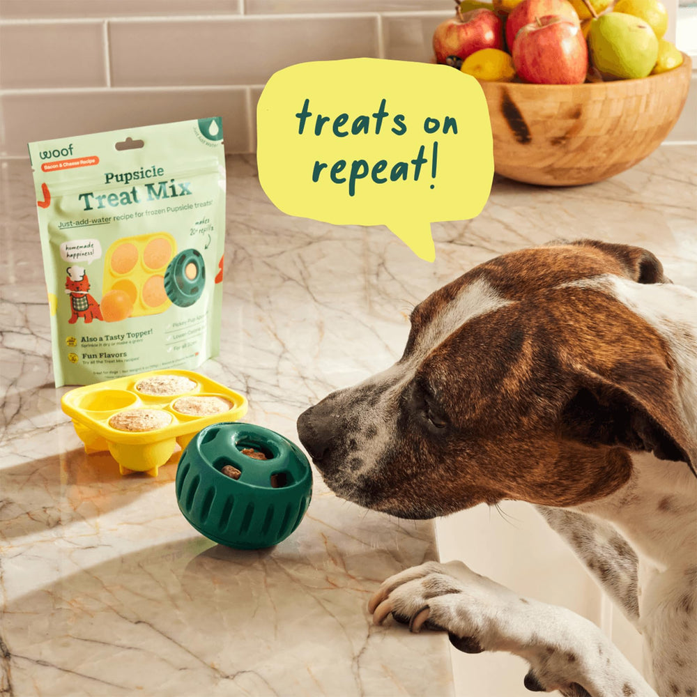 WOOF Pupsicle Treat Tray shown with a dog demonstrates interactive fun