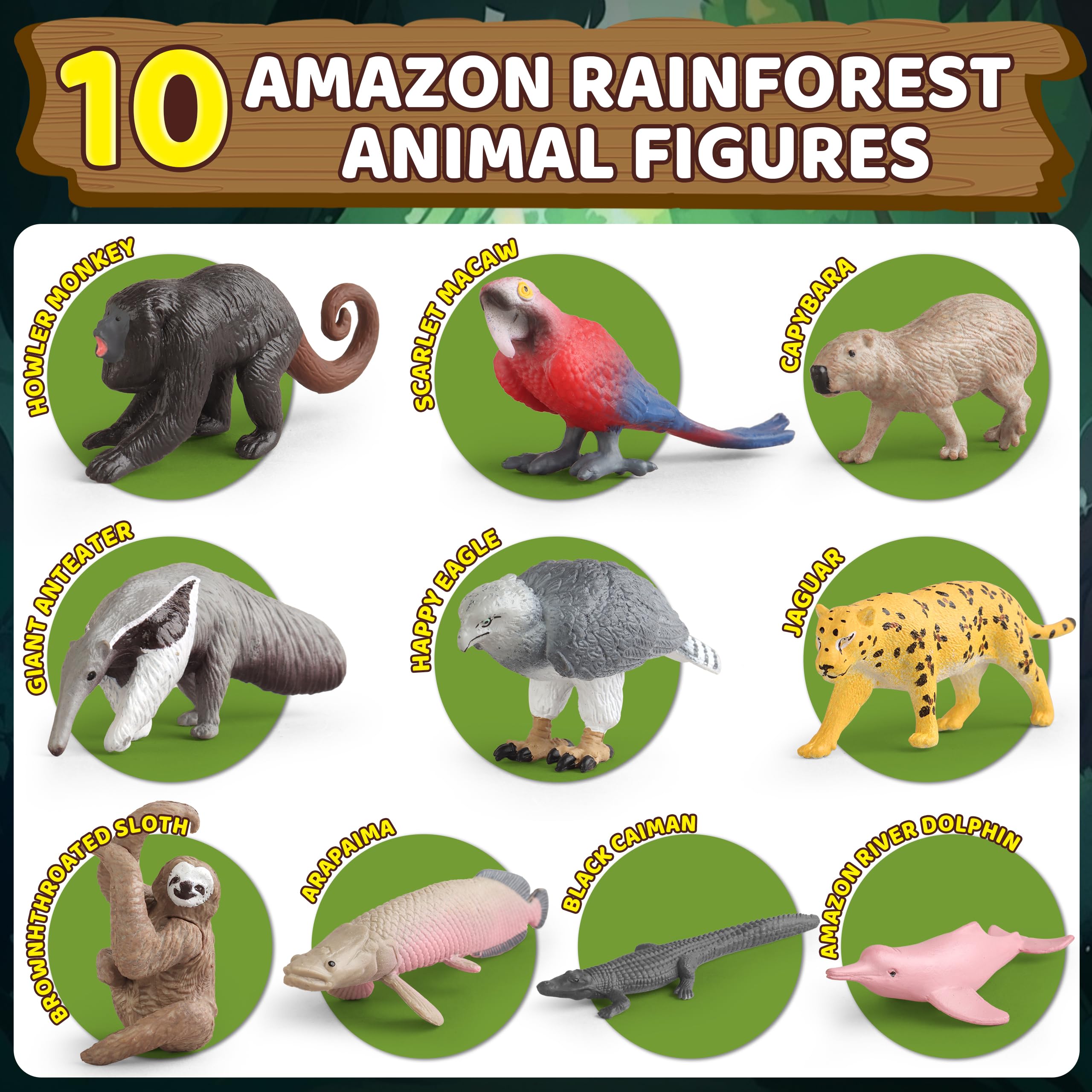 Wookidel rainforest diorama guidebook supports learning during project work