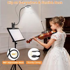 Woputne clip light USB powered for laptop or power bank.
