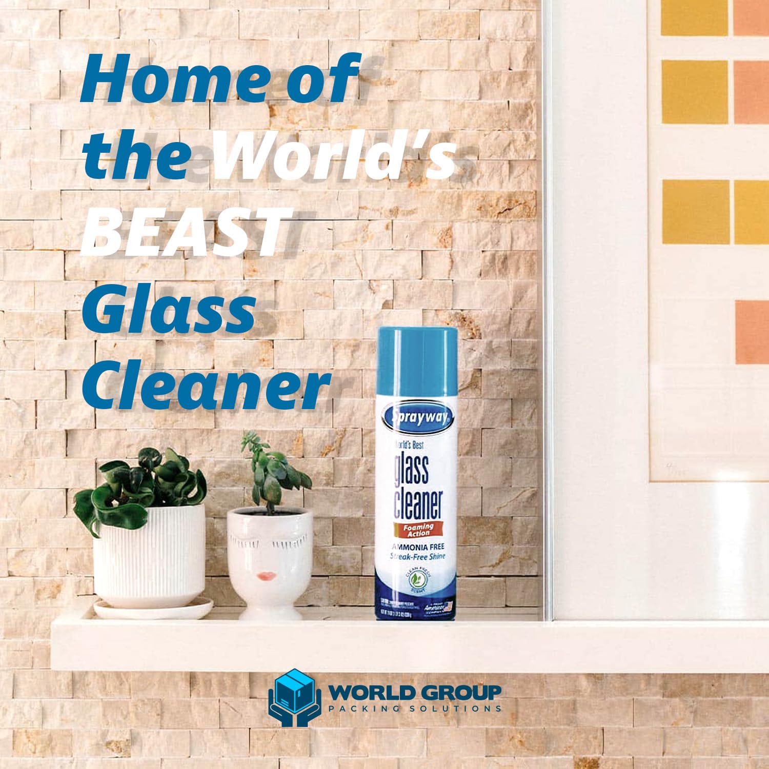 World Group Glass Cleaner Foam bundle packaging signifying complete set.