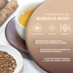 Worldwide Botanicals burdock root dried chunks ideal for root beer flavoring.