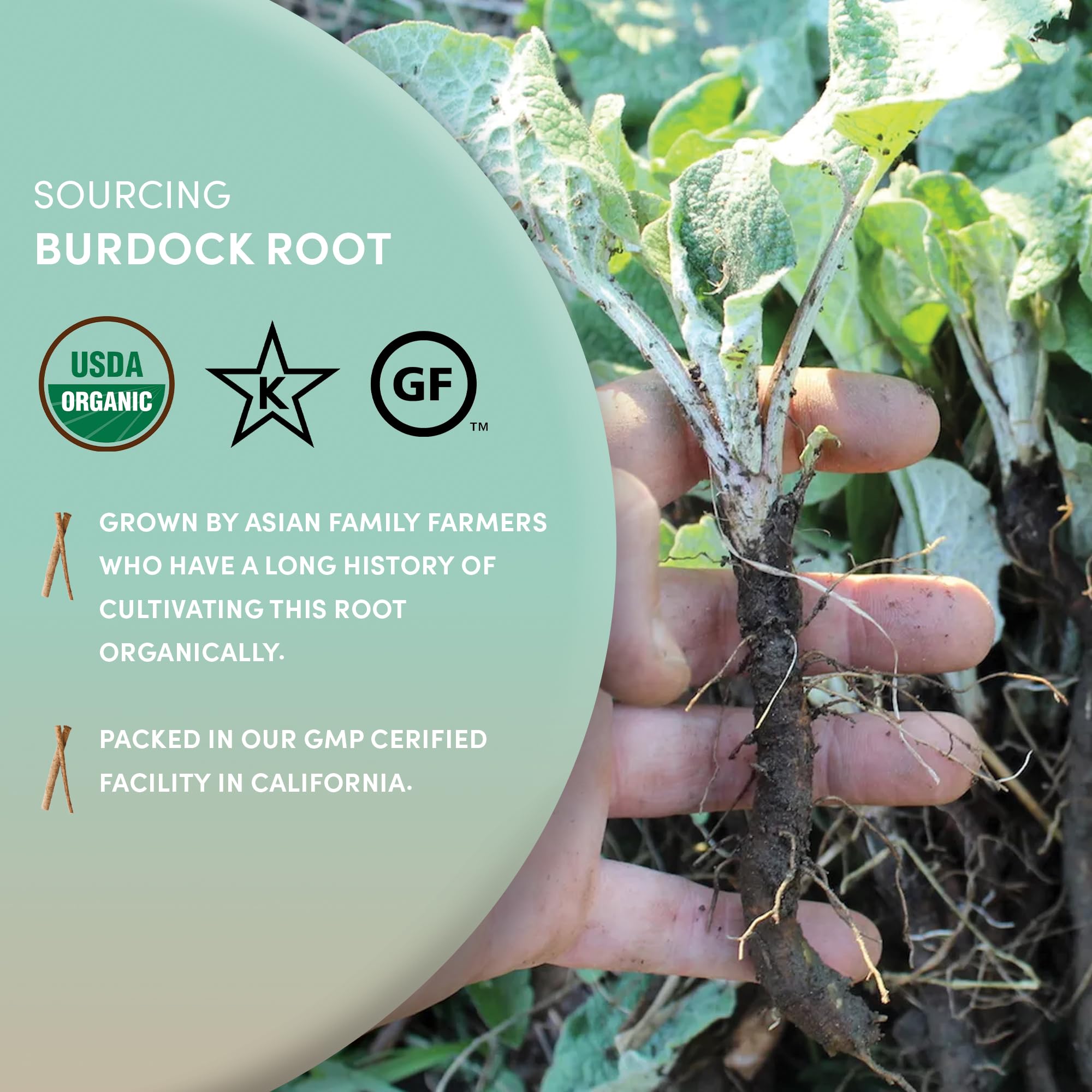 Worldwide Botanicals burdock root packaging highlights organic, non-GMO origin.