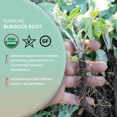 Worldwide Botanicals burdock root packaging highlights organic, non-GMO origin.