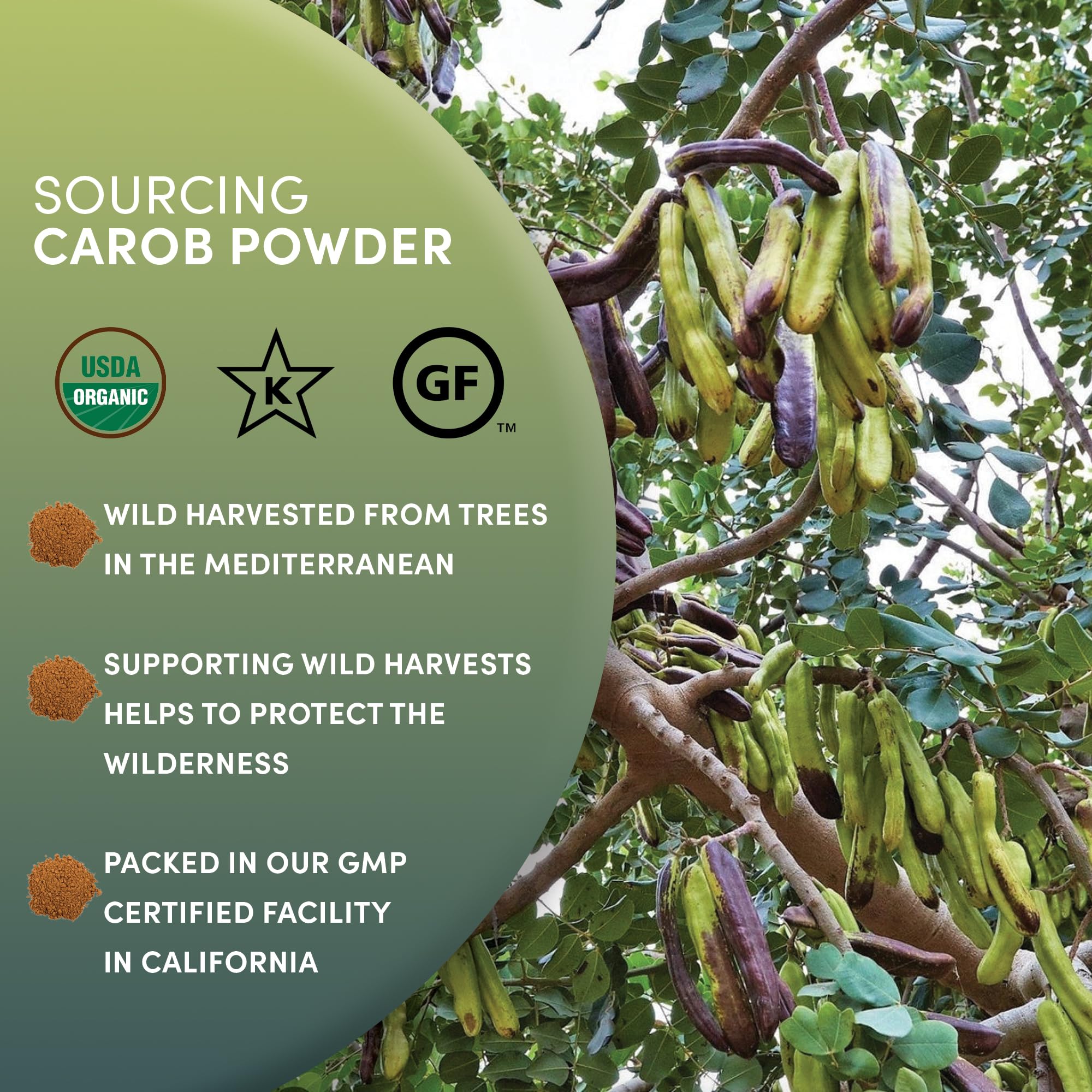 Worldwide Botanicals gluten-free kosher certifications affirm product suitability