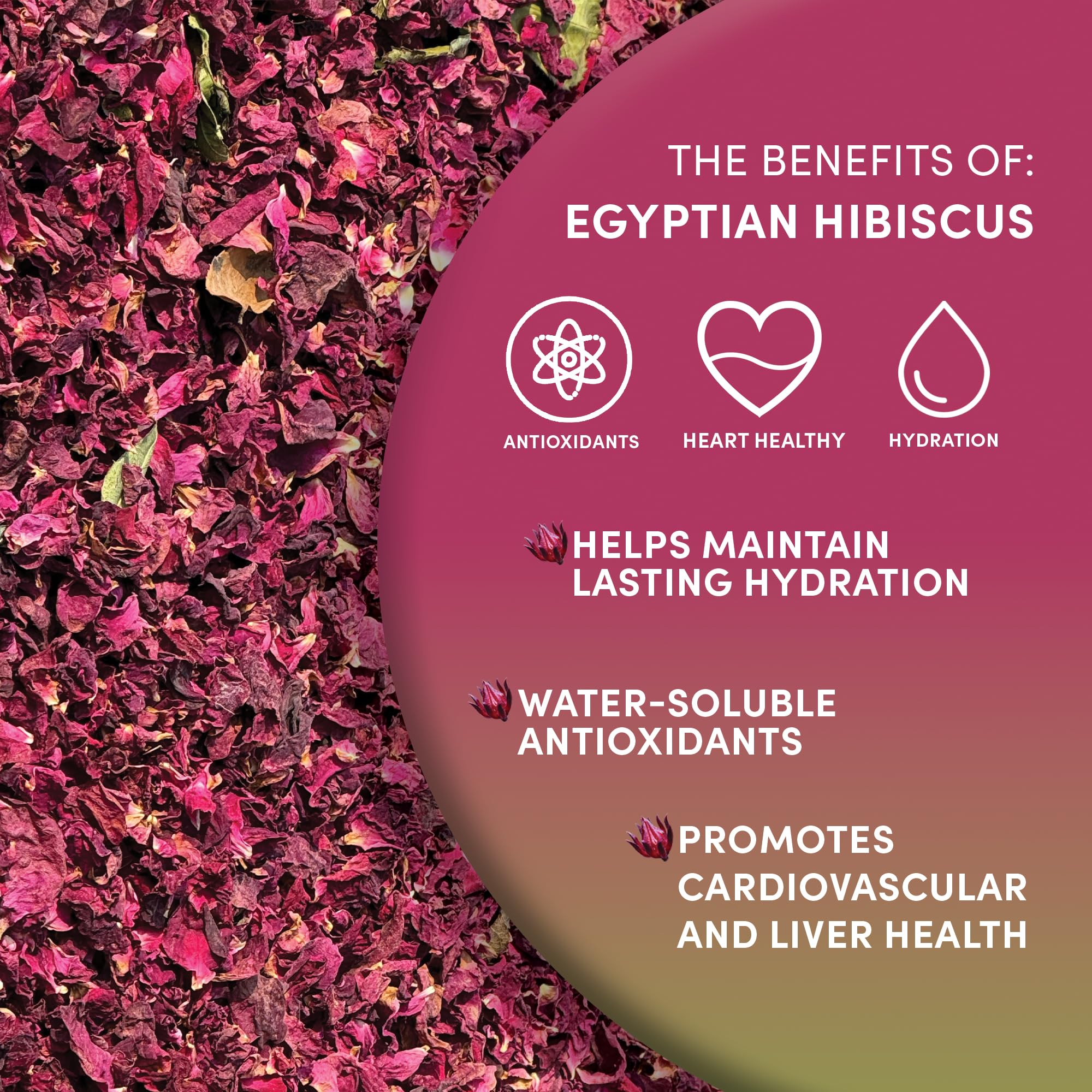 Worldwide Botanicals hibiscus tea hot cup displays amber, tangy aroma