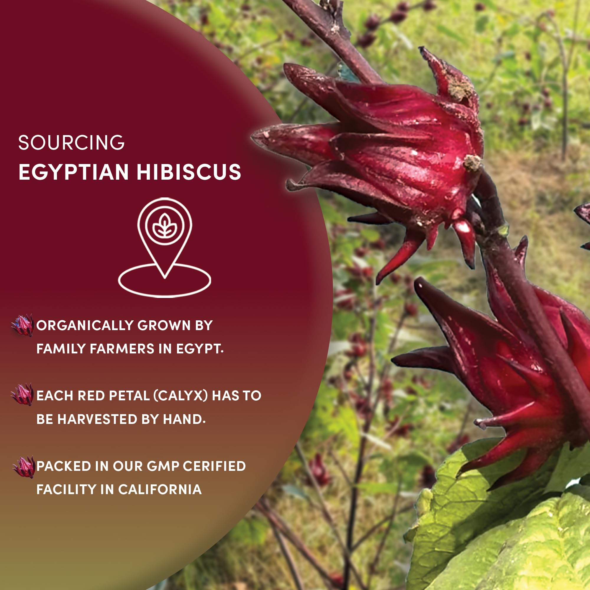 Worldwide Botanicals hibiscus tea iced in glass with lemon looks refreshing
