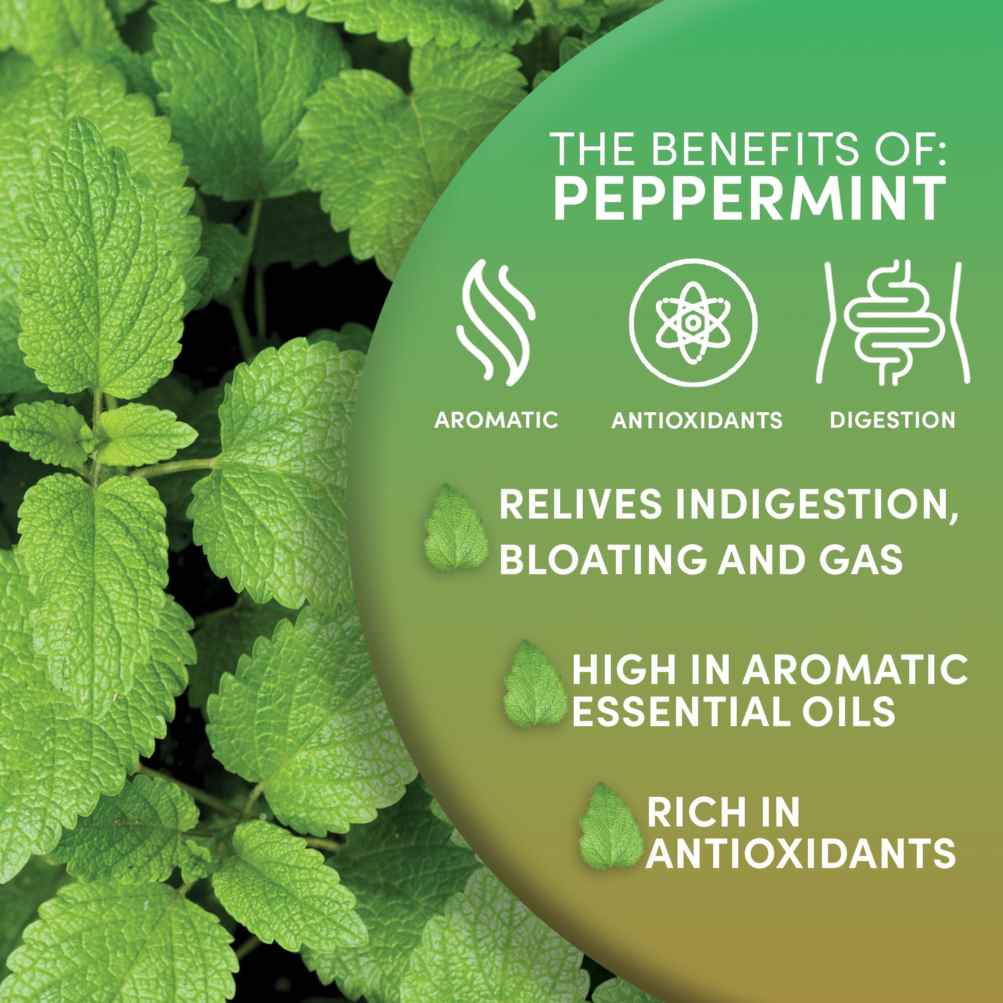 Worldwide Botanicals peppermint tea served over ice in glass