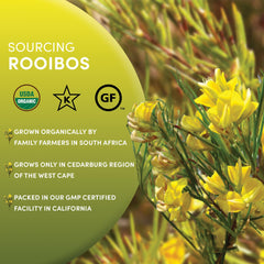 Worldwide Botanicals Rooibos with Aspalathin antioxidants and a smooth, notes-rich profile.