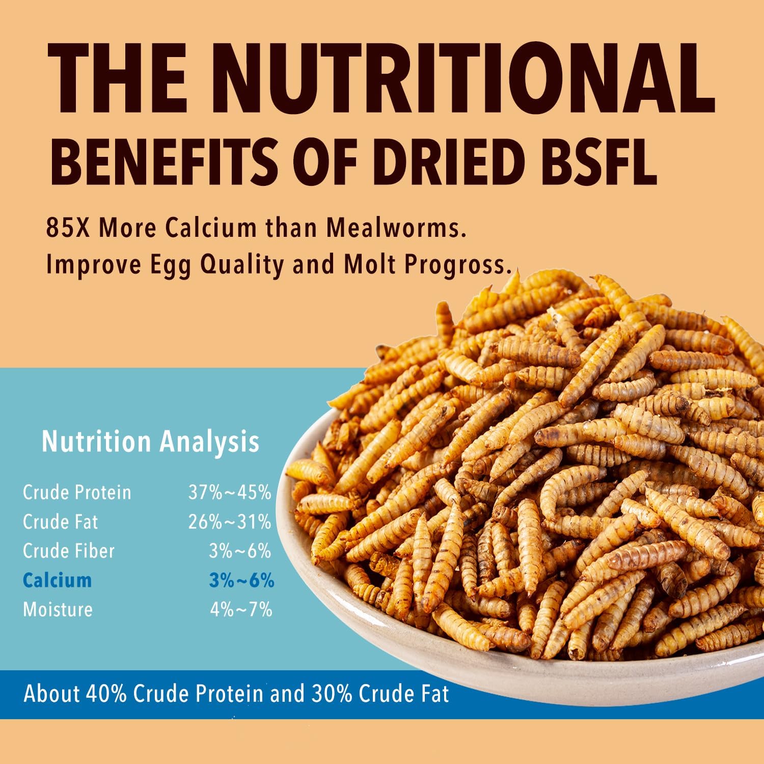 WormsFarm calcium-rich BSF larvae for healthy egg production