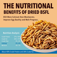WormsFarm calcium-rich BSF larvae for healthy egg production