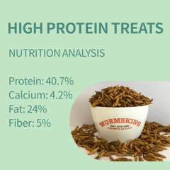 WORMSKING BSF dried close-up showing protein-dense larvae for birds.