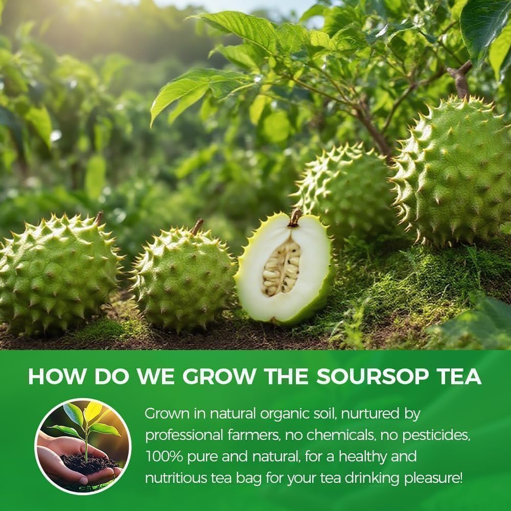 WOTIHA food-grade biodegradable tea bags highlight eco-friendly packaging.