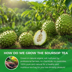 WOTIHA food-grade biodegradable tea bags highlight eco-friendly packaging.