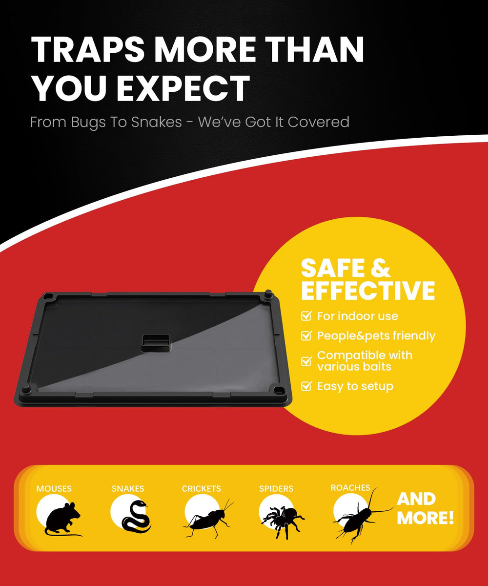 Wowcatch corner placement enables discreet monitoring and easy setup.