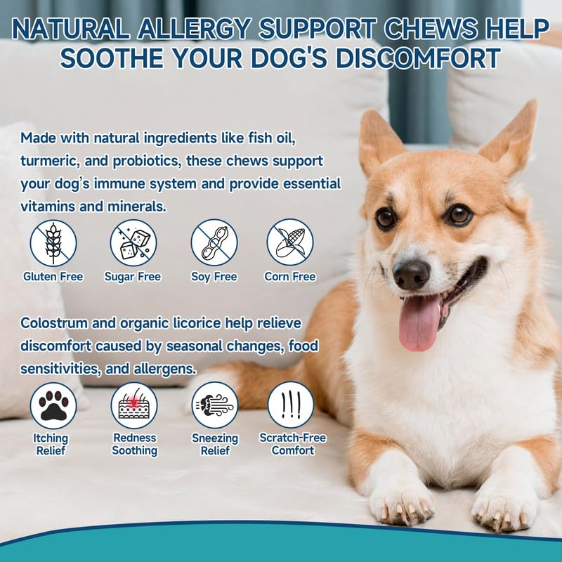 Woyamay dog allergy chews 200-count jar emphasizes long-term value.