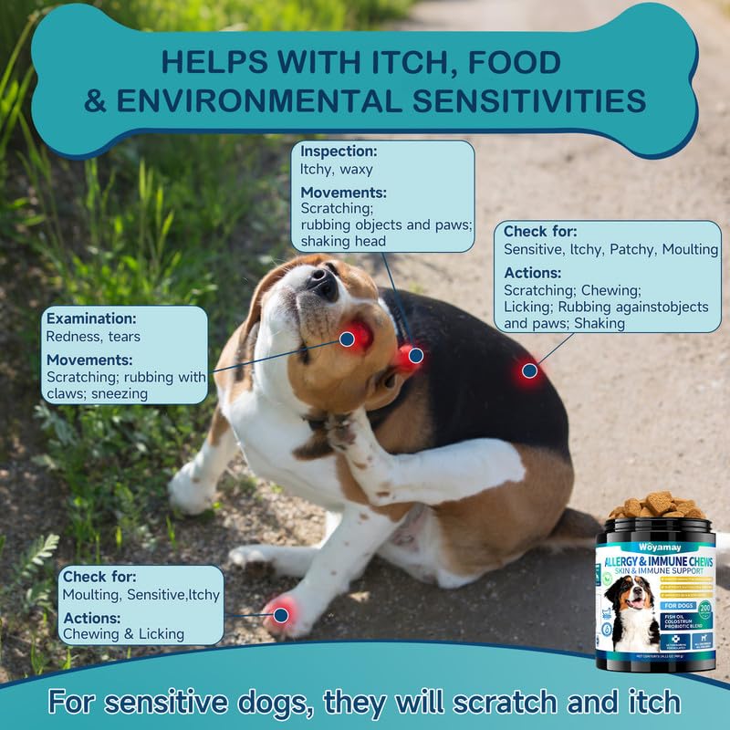 Woyamay dog allergy chews chicken-flavor treats dogs love.