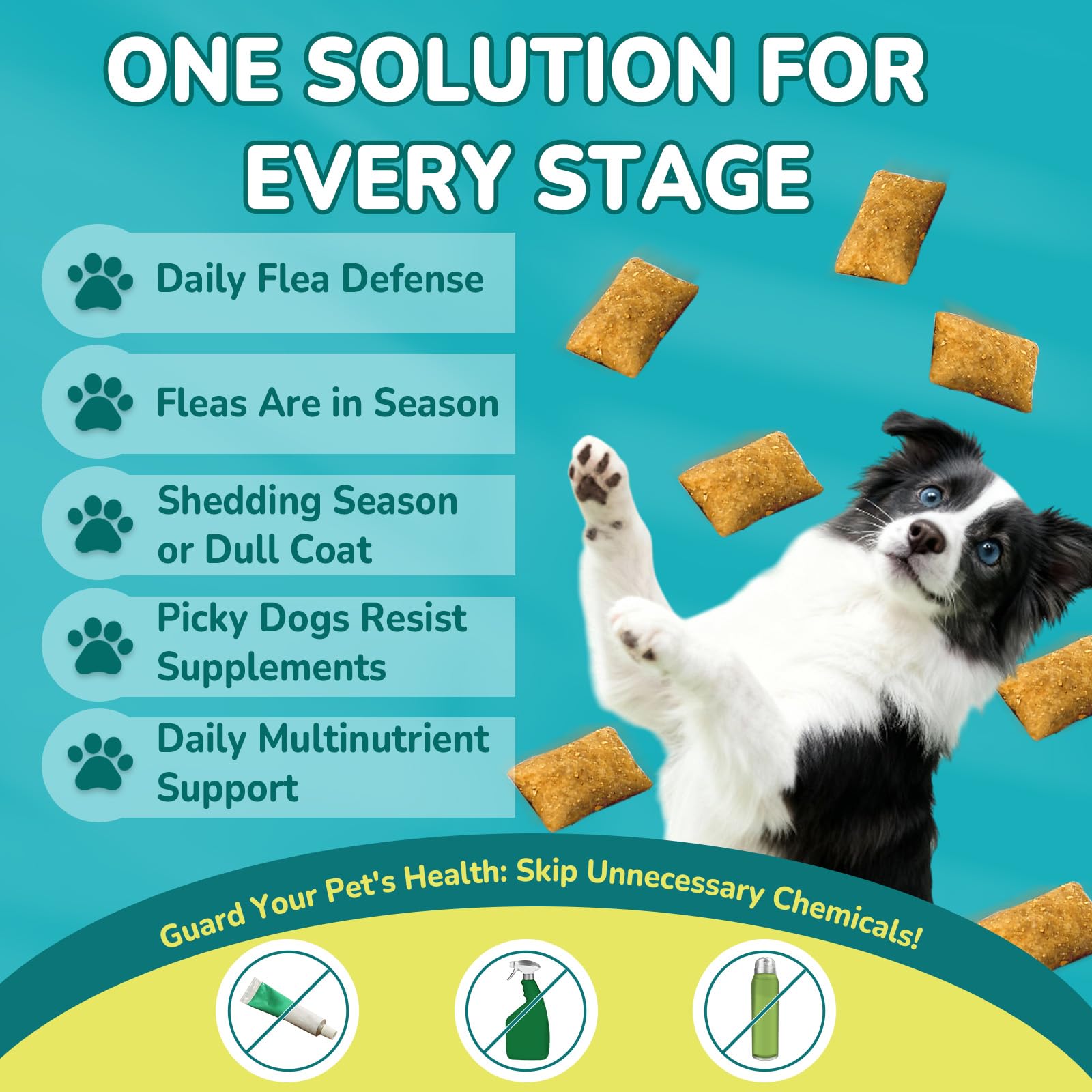 Woyamay mini-chews portioning image for easy feeding across sizes.