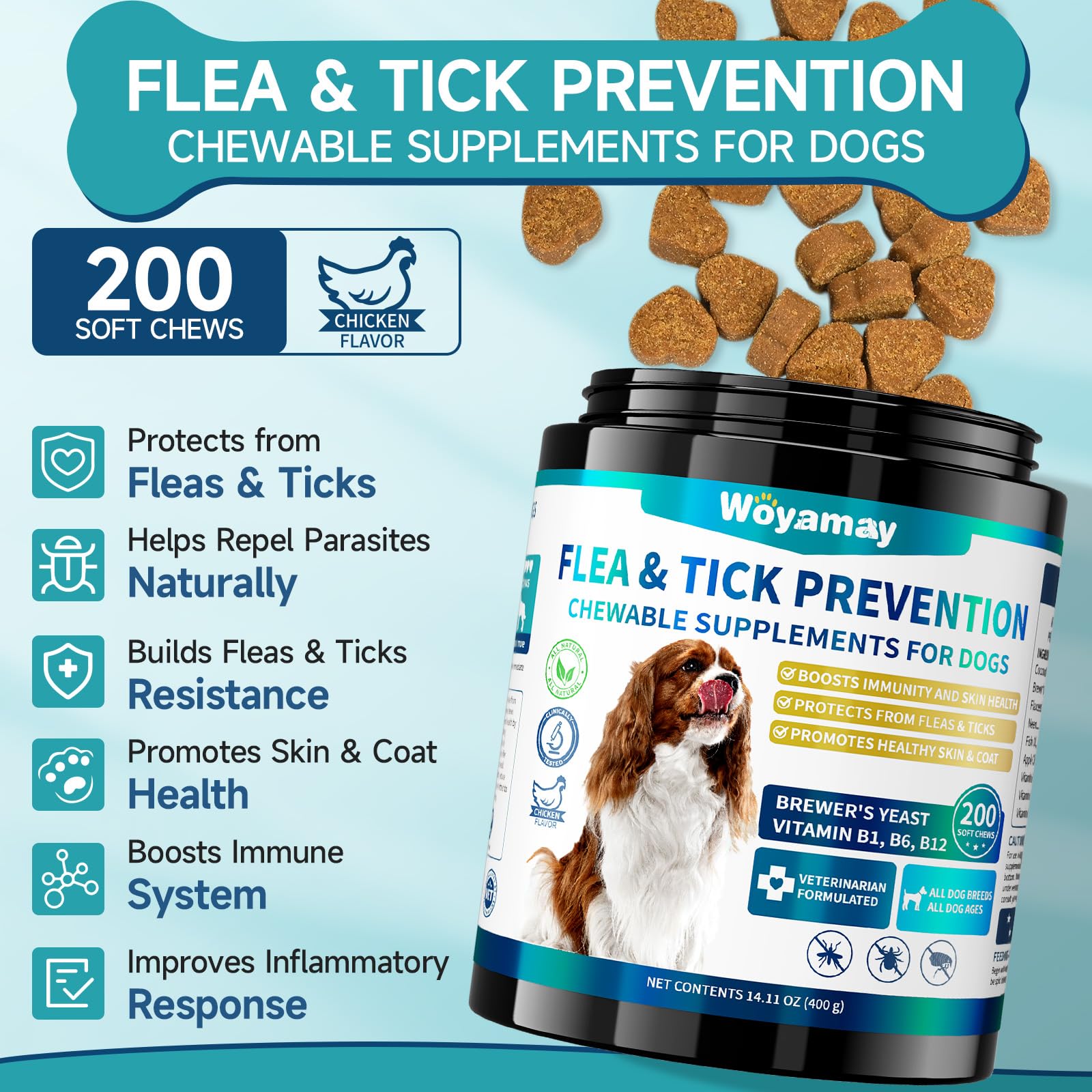 Woyamay soft chews shown as a dog friendly serving for easy daily use