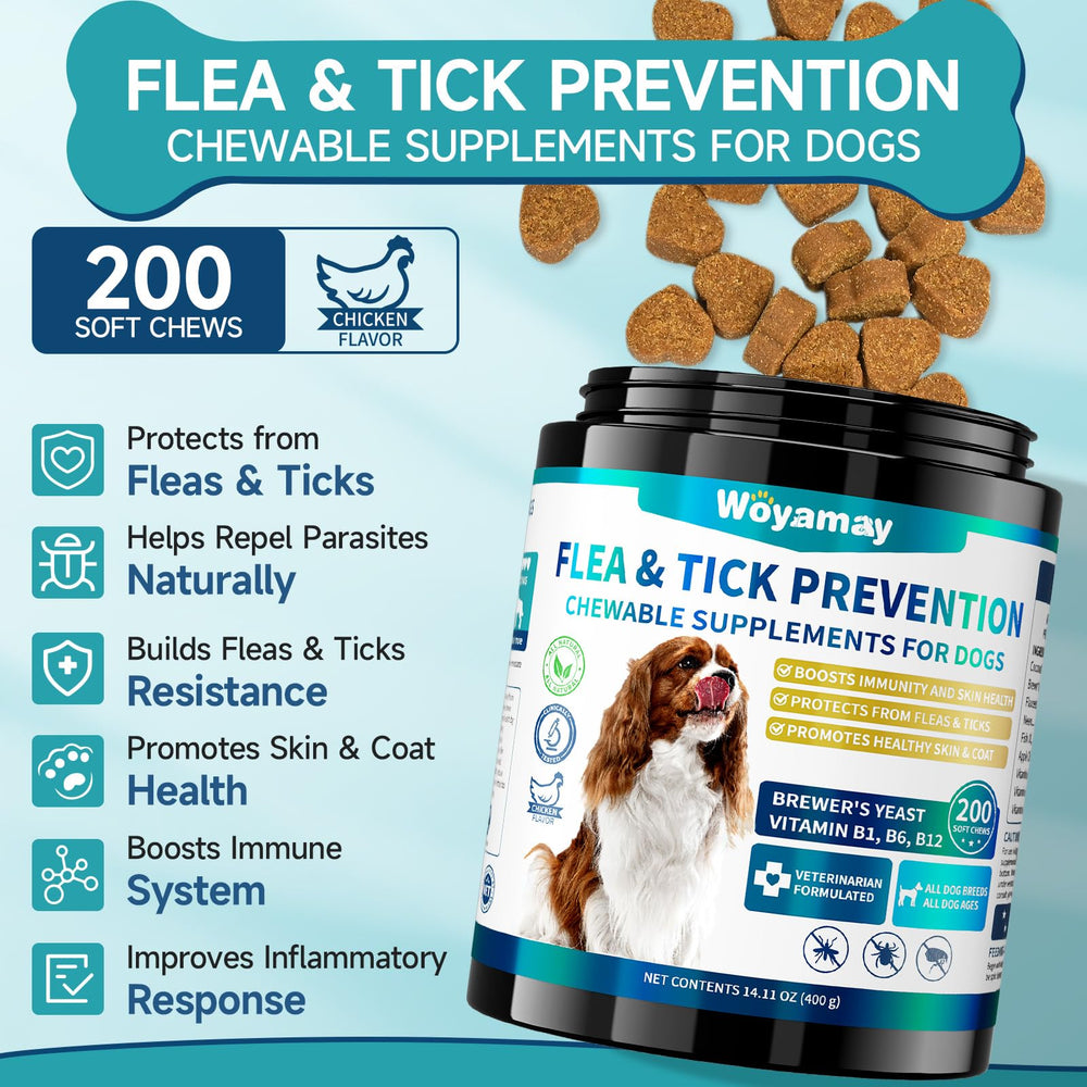 Woyamay soft chews shown as a dog friendly serving for easy daily use