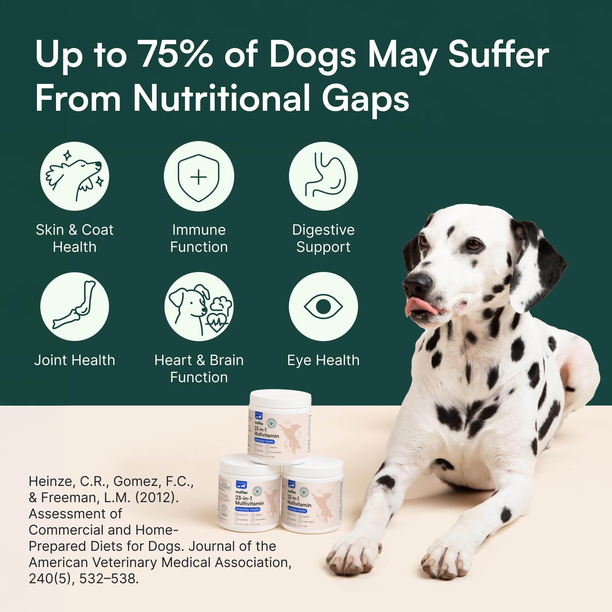 Wuffes joint support action scene suggests potential mobility support for active dogs.