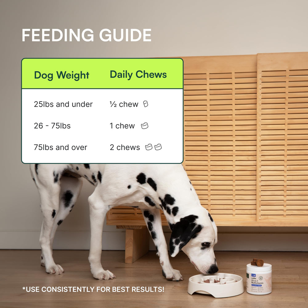 Wuffes puppy and senior use scene demonstrates versatile supplementation across life stages.