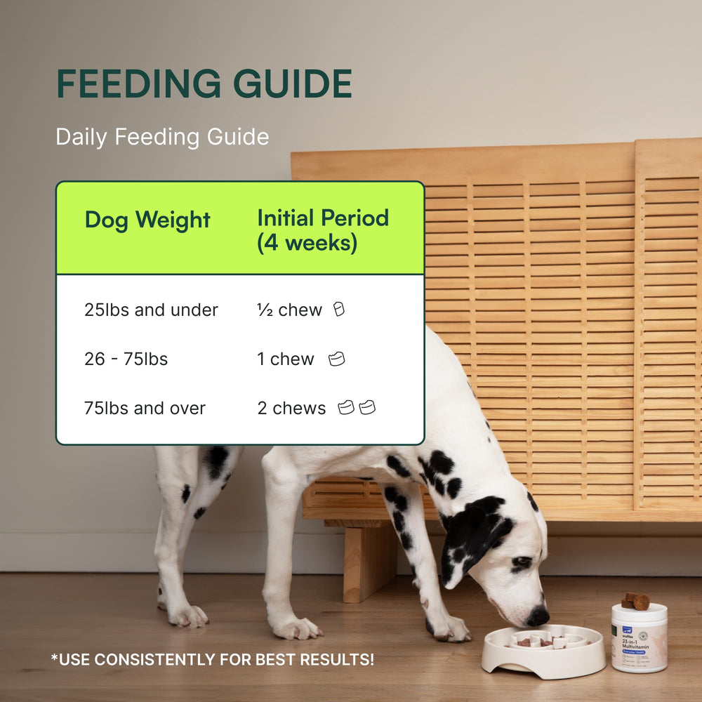 Shiny coat and healthy appearance after daily Wuffes supplementation