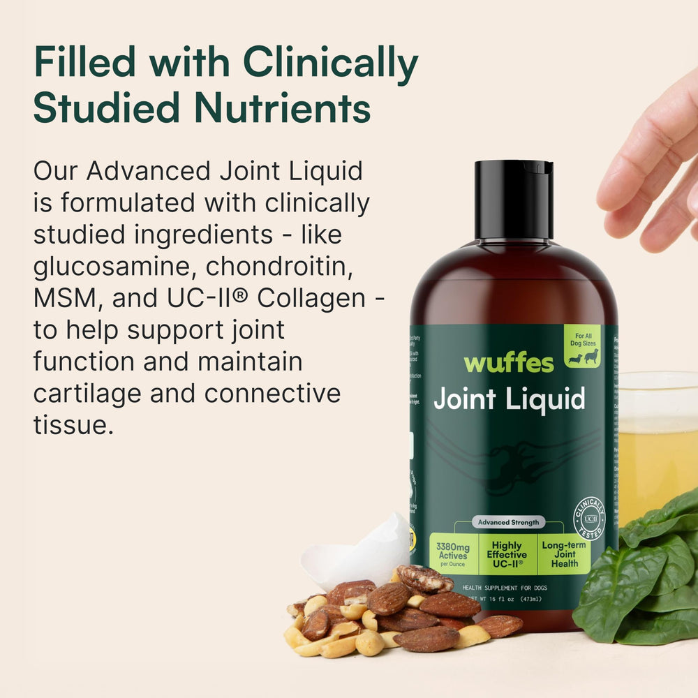 Dog runs with ease, supported by Wuffes Advanced Joint Liquid