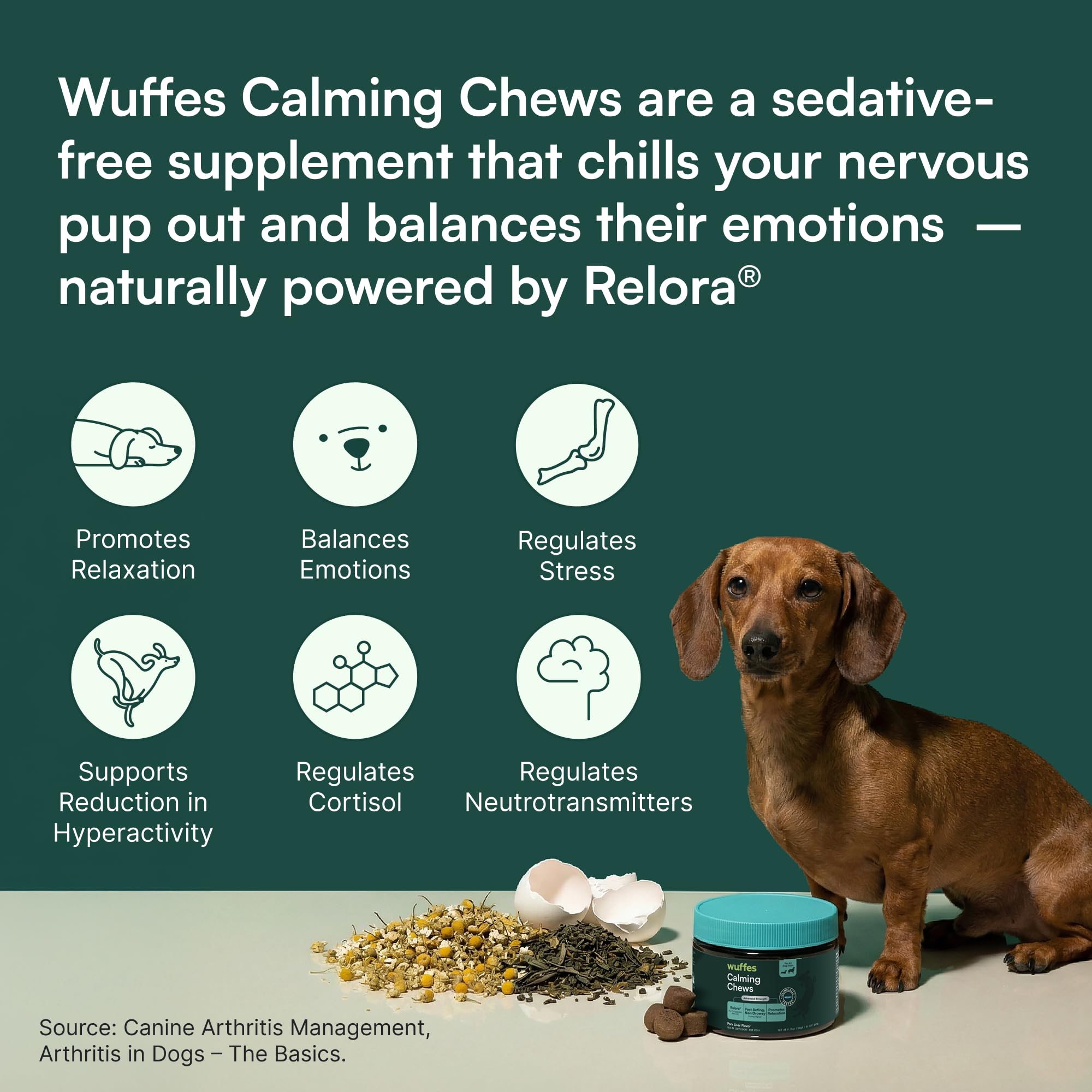 Wuffes Calming Soft Chews help dogs stay calm during vet visits.