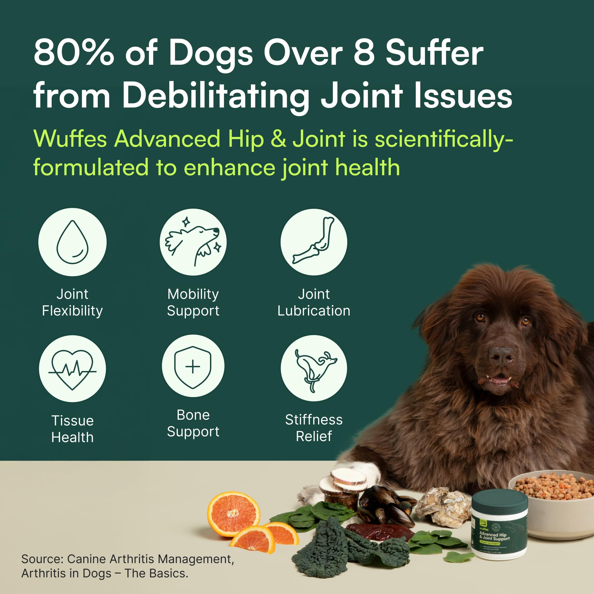 Digestible formula designed for sensitive stomachs in large dogs