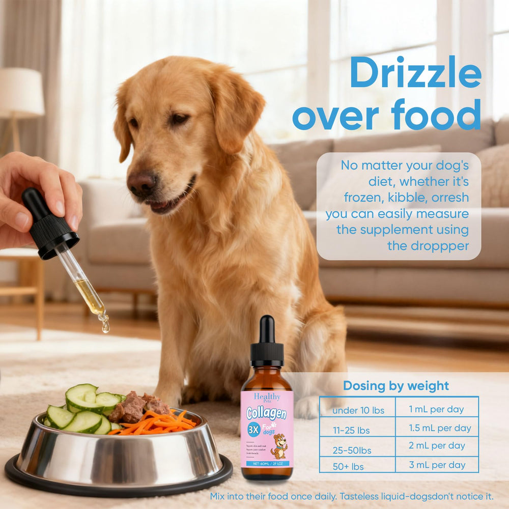 Dog with a glossy coat after using Wvnscl Healthy Petz collagen