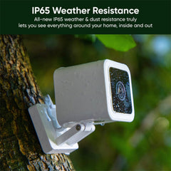 Wyze Cam v3 night color vision demonstrates clear color footage in low light