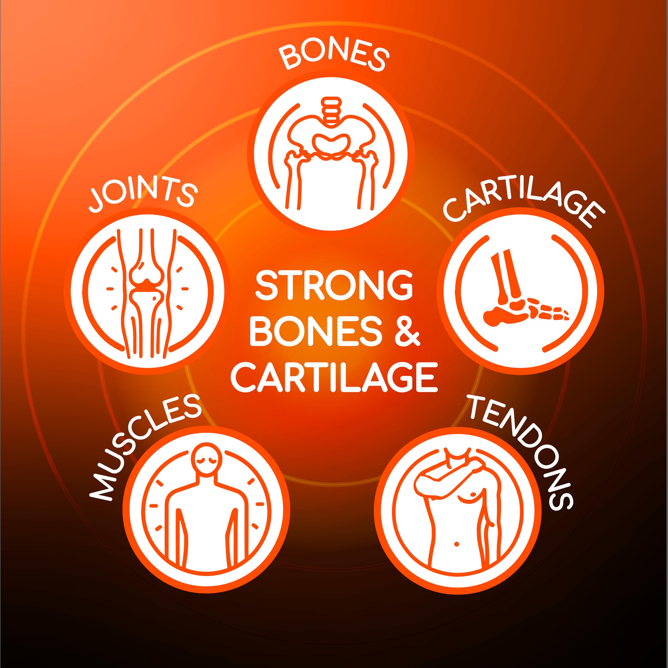 X Ray Dol two-tablets image illustrates the recommended daily dosage with meals