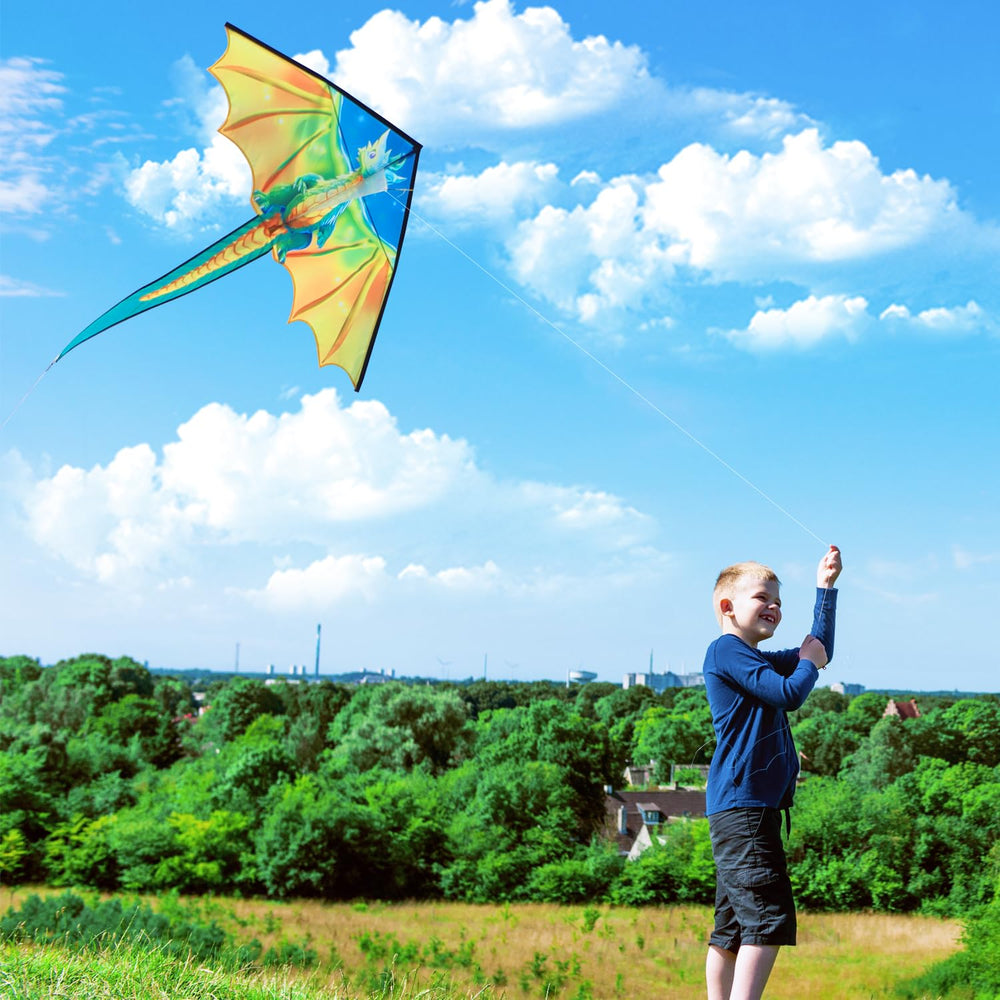 Xida Dragon Kite is portable and lightweight for travel to the beach or park.