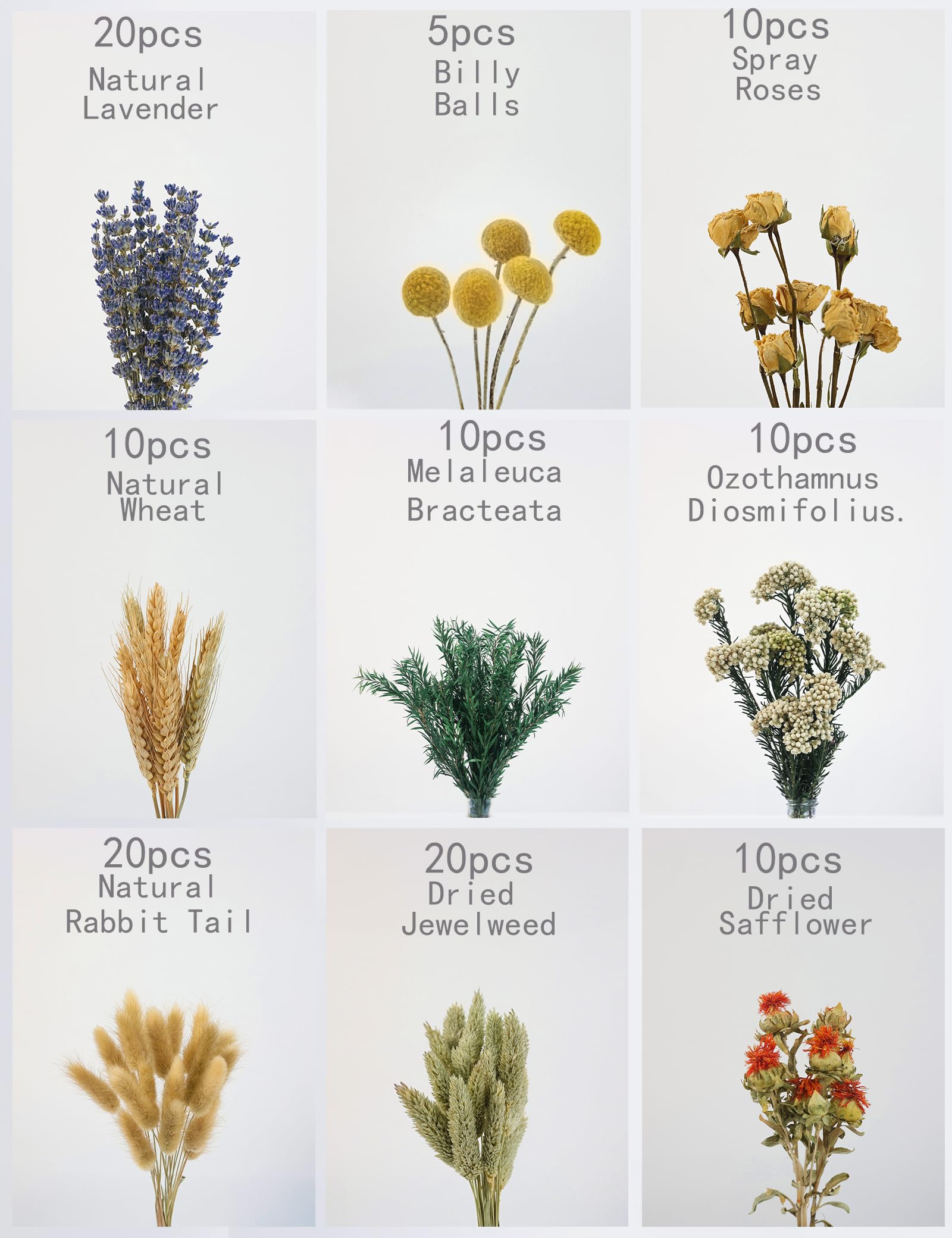 Xin's Convey milfoil dried stems add texture to wreaths and arrangements.