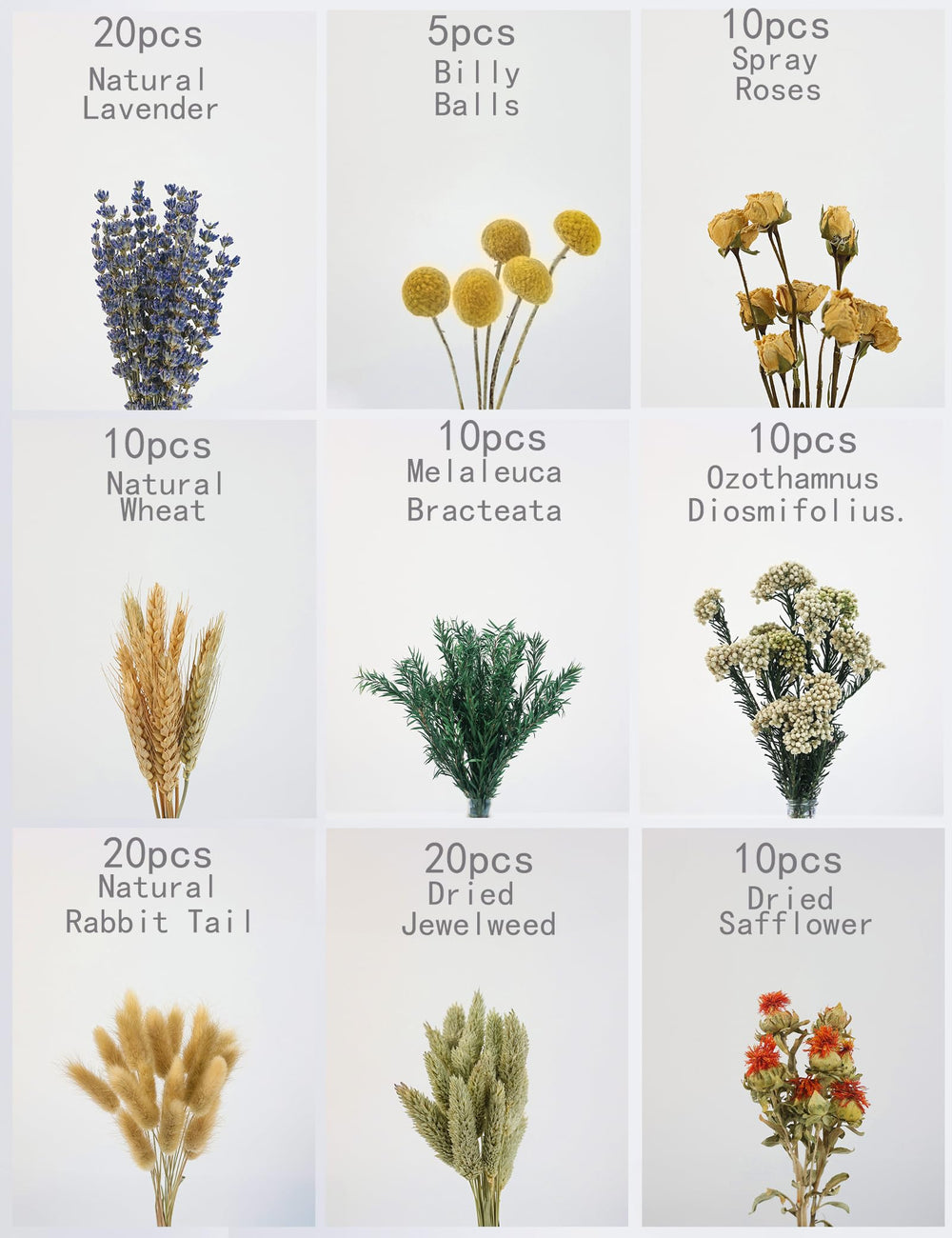 Xin's Convey milfoil dried stems add texture to wreaths and arrangements.