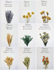 Xin's Convey milfoil dried stems add texture to wreaths and arrangements.