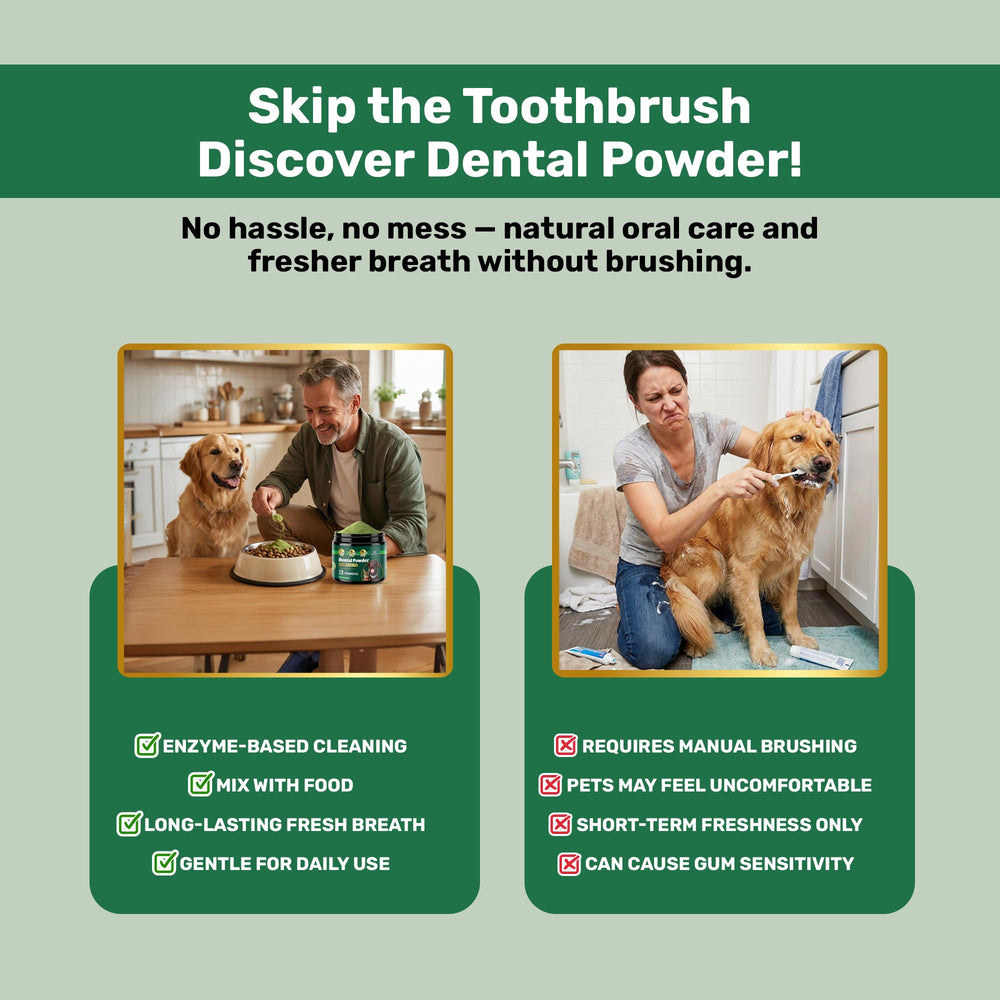 Yabercha daily-use dental powder fits busy pet care routines