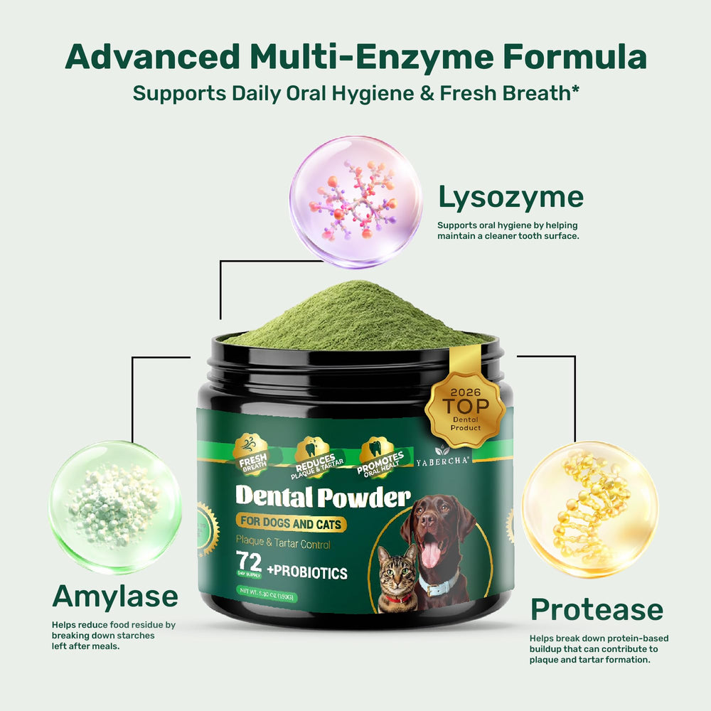 Yabercha enzyme and probiotic dental powder aids fresher breath
