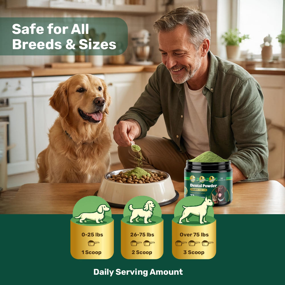 Yabercha dental powder promotes fresher breath for dogs