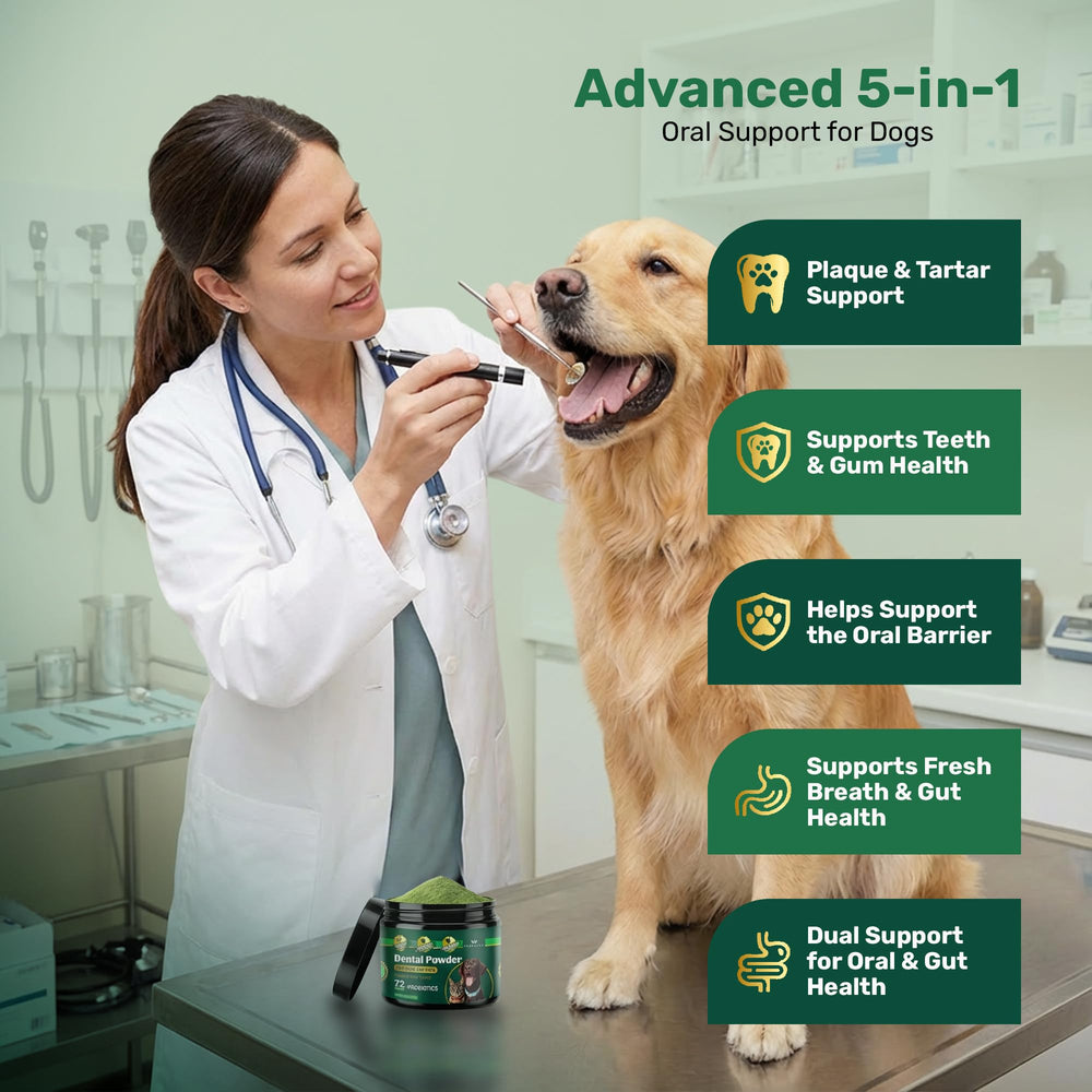 Yabercha packaging front showing natural oral care for dogs