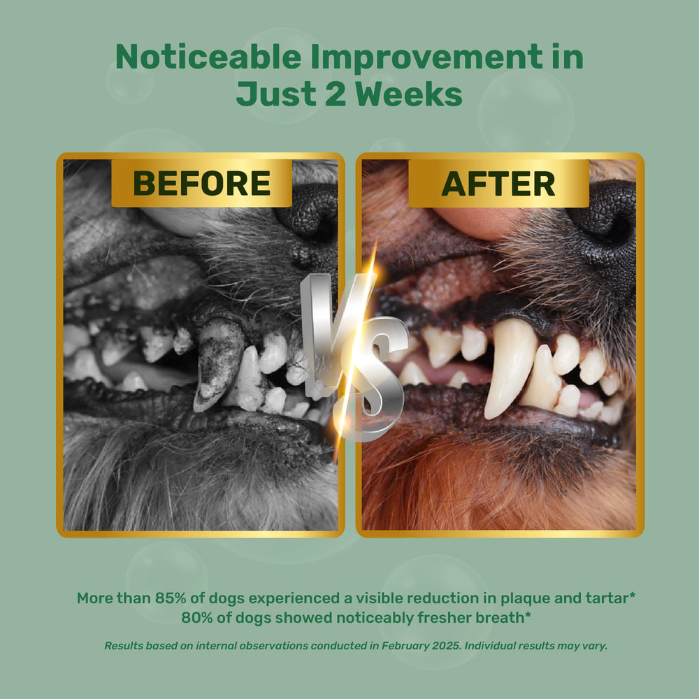 Yabercha powder sprinkled on dog food for easy daily use