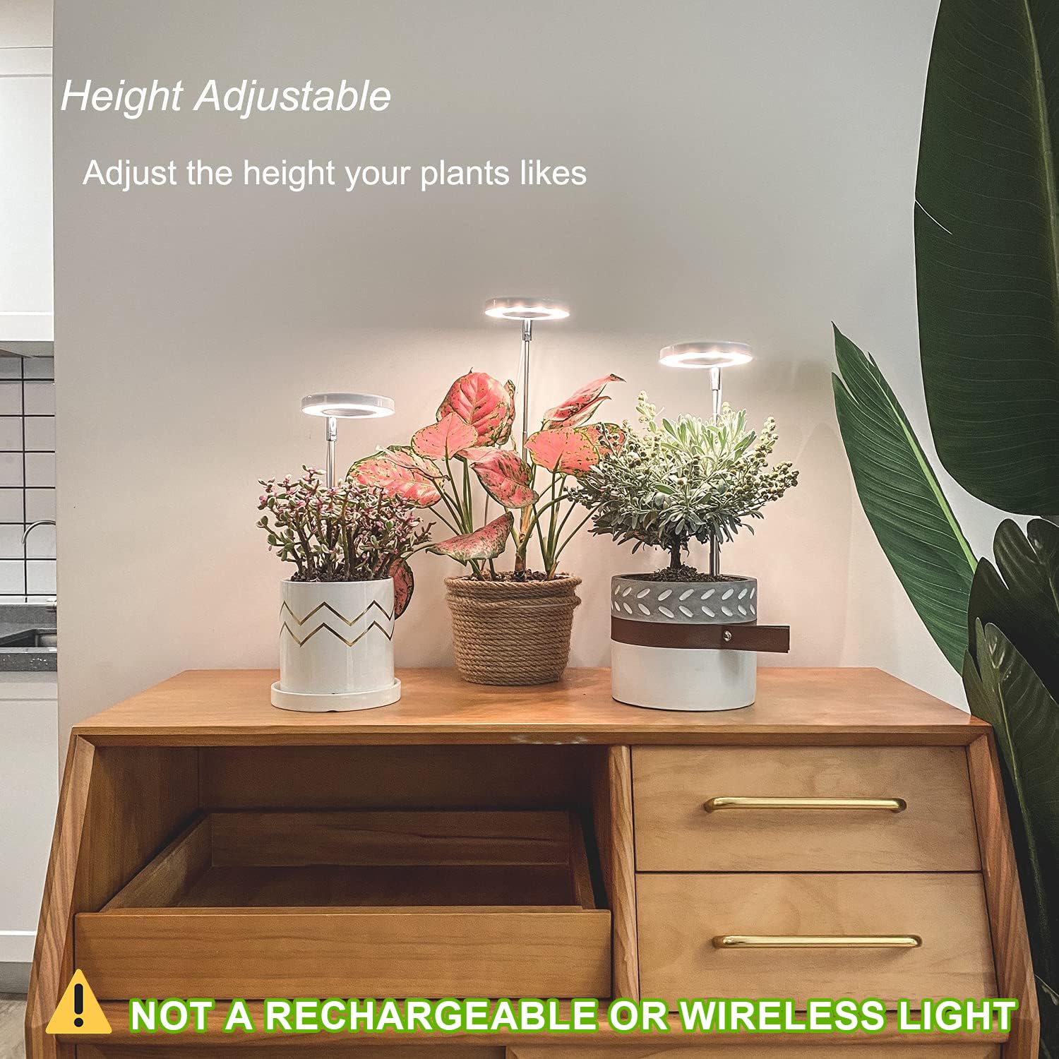 Yadoker height-adjustable grow light pole adapts to plant height.