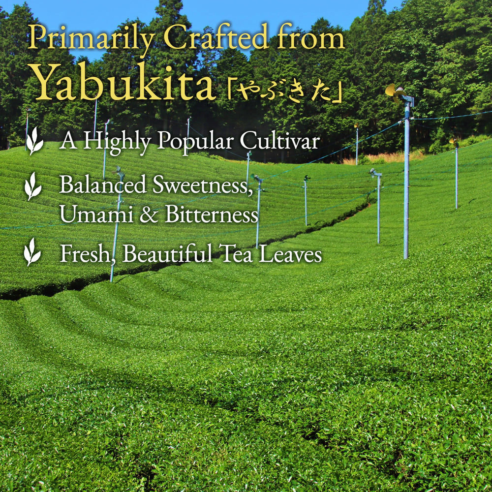 YAMASAN KYOTO UJI brewed tea—bright yellow-green color and refreshing aroma