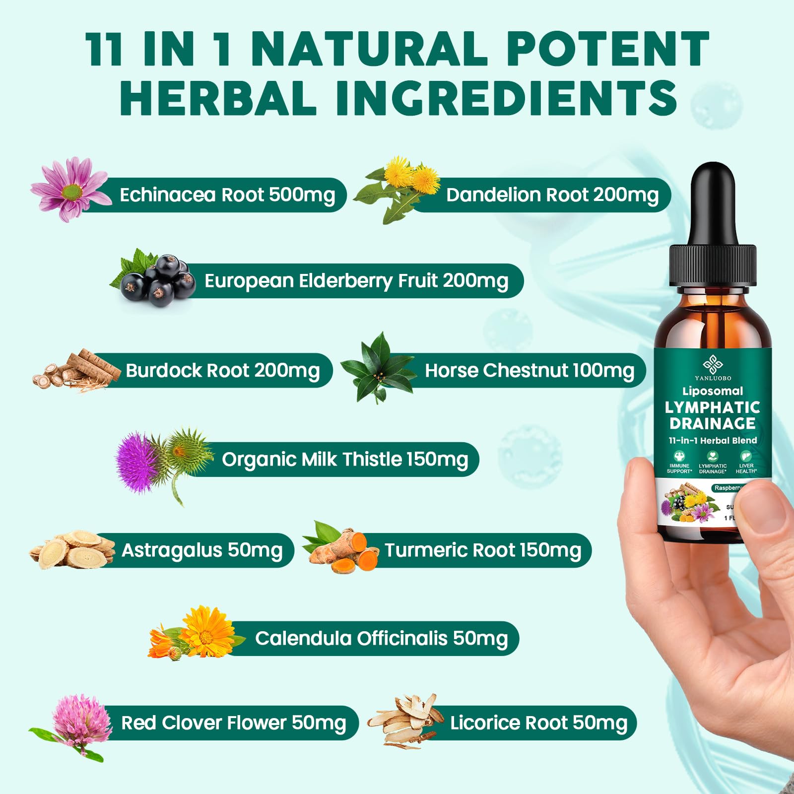 YANLUOBO ingredients label showing 11 herbs for balance