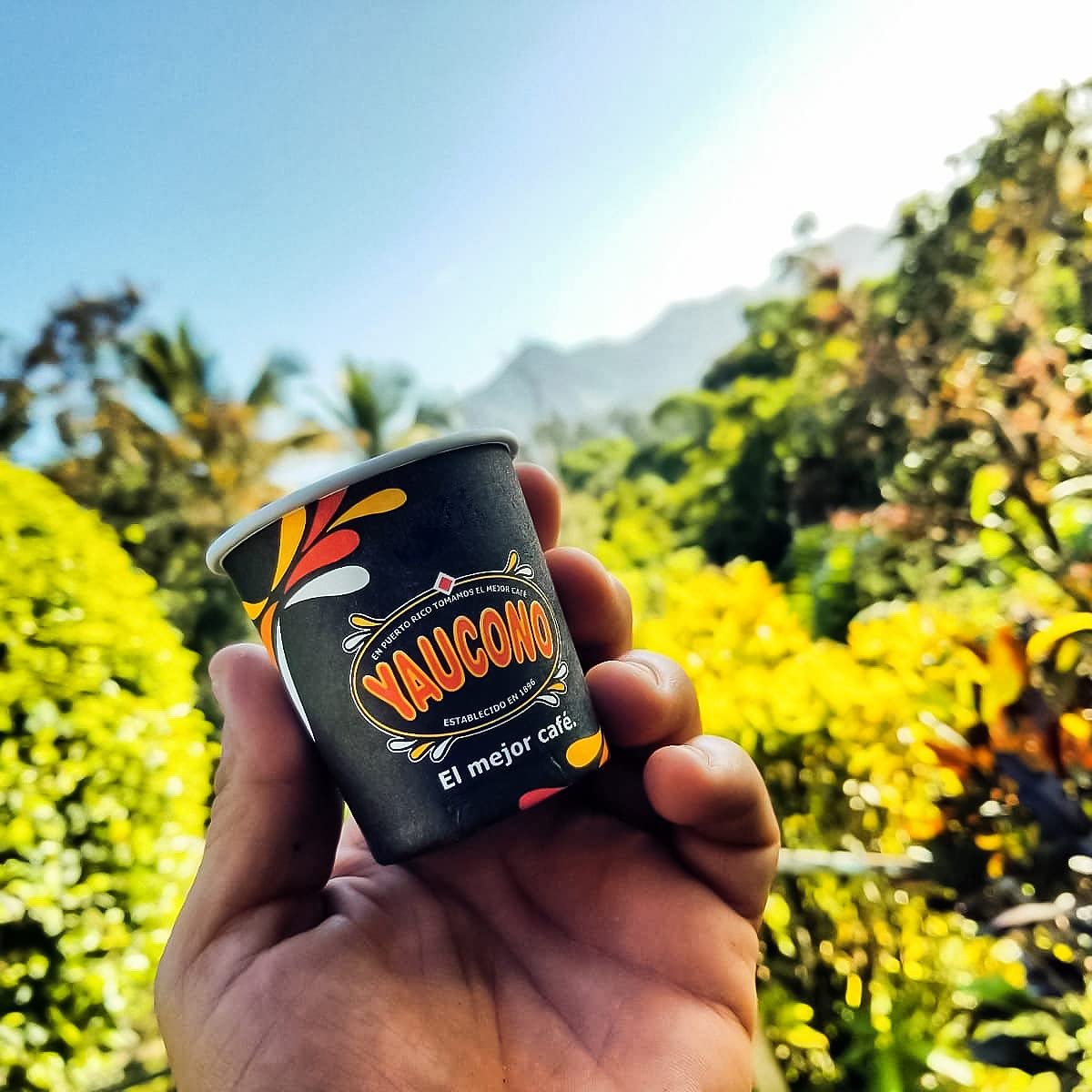 Yaucono medium roast aroma enhances every brew