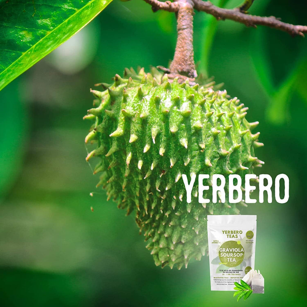 Yerbero Graviola tea cup – soothing, aromatic experience.