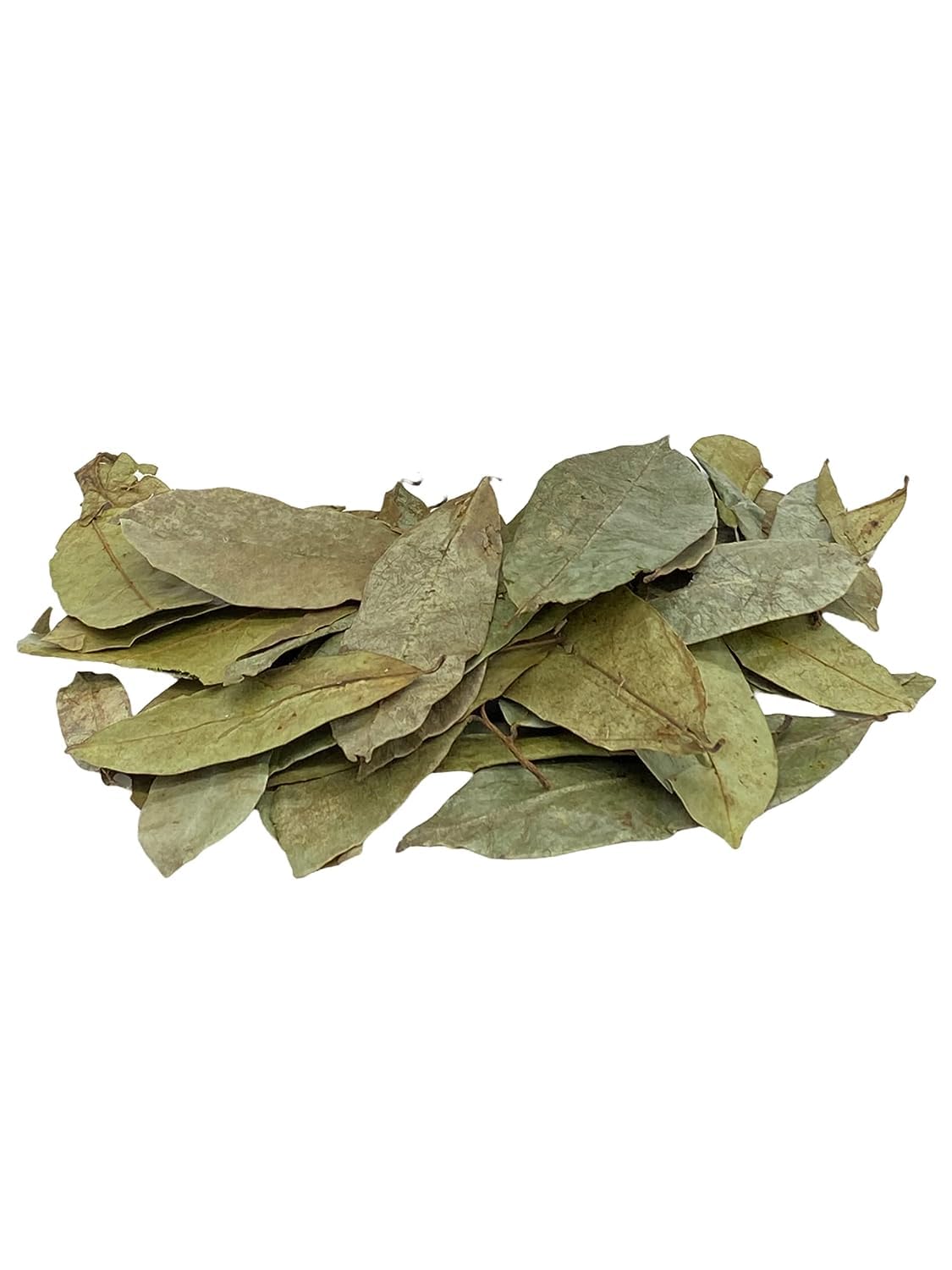 Yerbero leaves in open bag – generous 4 oz pack.