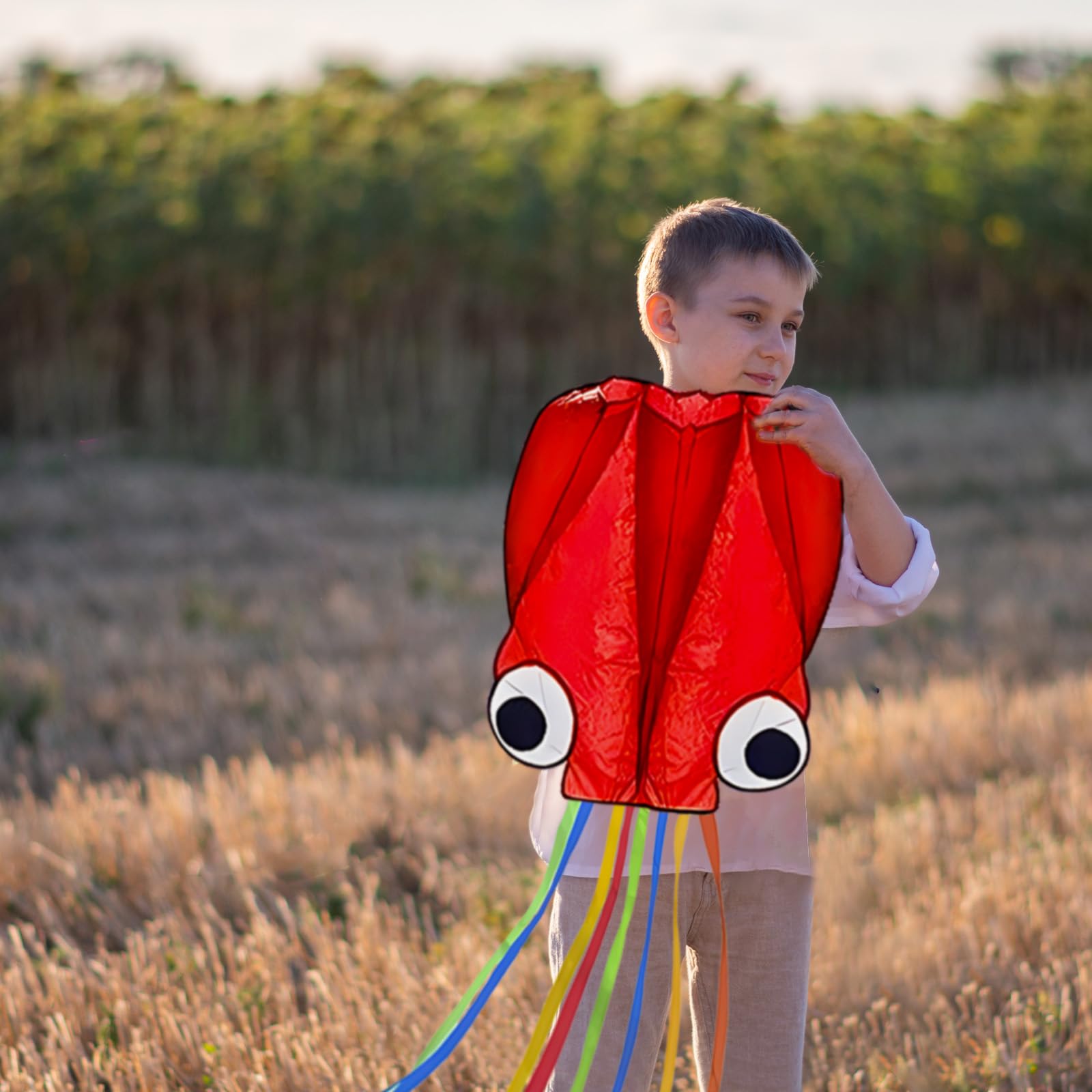YFAFENGS octopus kite supervision recommended, safe outdoor play