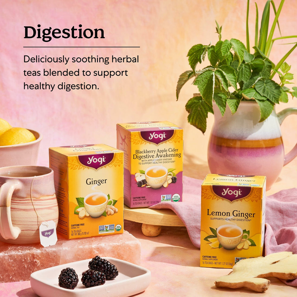Yogi botanicals and spices displayed, signaling high-quality botanicals in the blend.
